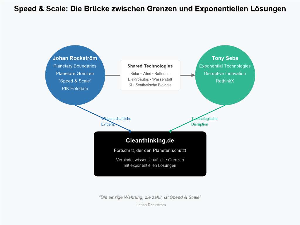 seba rockstrom cleanthinking diagramm