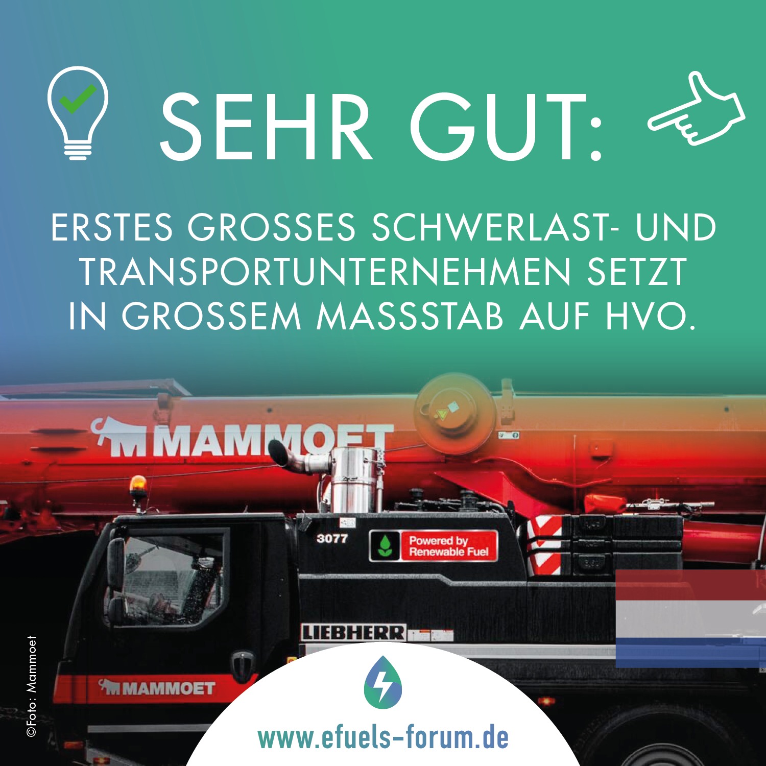 Mammoet setzt auf HVO