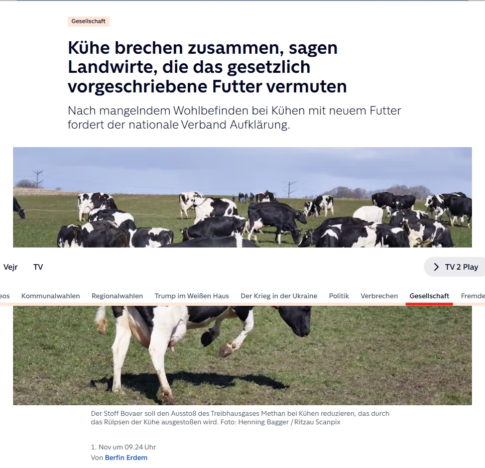 Übersetzung des Artikels zu Bovaer von TV2