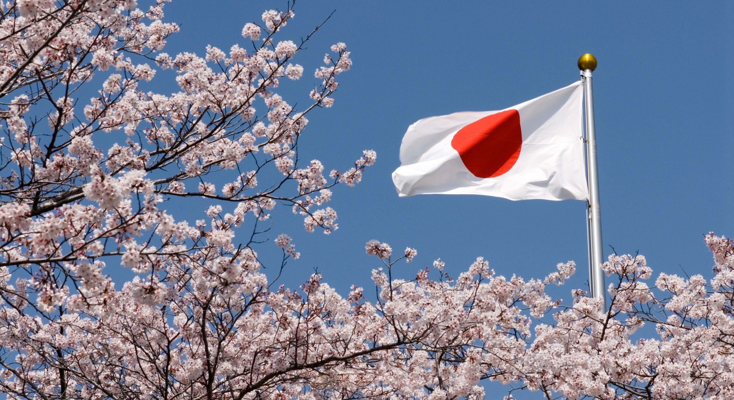 Helical Fusion Signs First Fusion Power PPA in Japan With Aoki Super