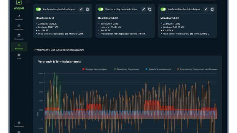 Ein Digitaler Zwilling für Energienetze