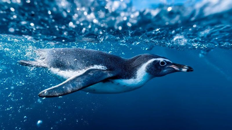 Warum Immersion die coolste Technik für Rechenzentren ist