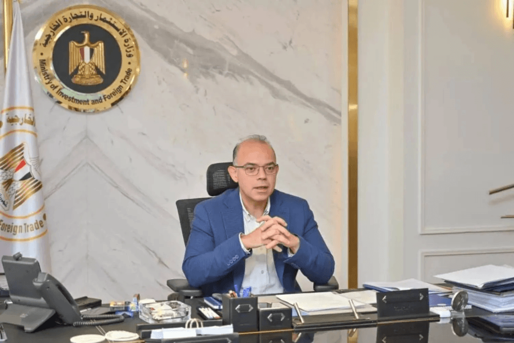 Egypt Mandates Carbon Disclosure, 20% Offsets For Non-Bank Financial Institutions